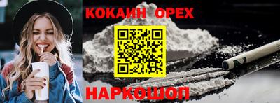гидропоника Камышлов