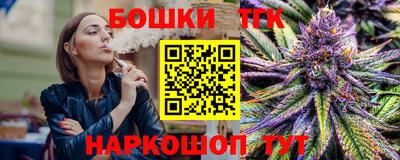 гидропоника Камышлов