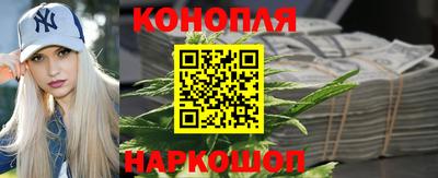 тгк Канаш