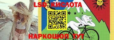 гидропоника Камышлов