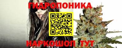ПСИЛОЦИБИНОВЫЕ ГРИБЫ Кандалакша