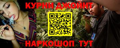 гидропоника Камышлов