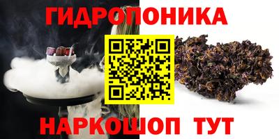 гидропоника Камышлов