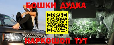 тгк Канаш