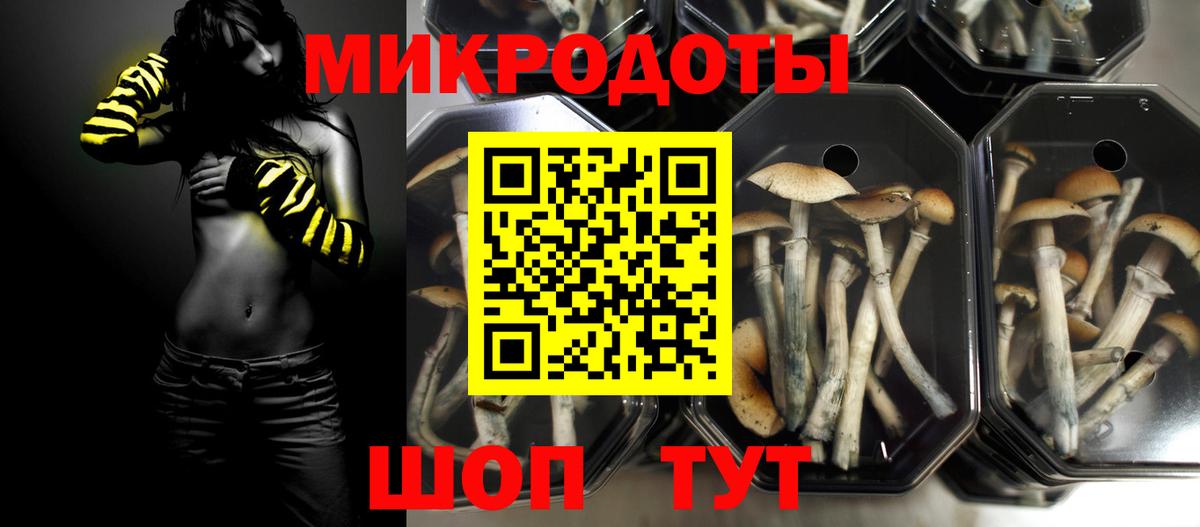 Щёкино  Псилоцибиновые грибы MAGIC MUSHROOMS  магазин продажи наркотиков  Вход с VPN 